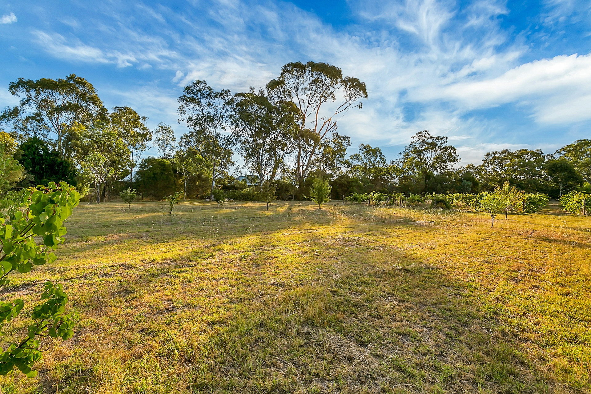 93 Bethany Road, Tanunda Sold by Giordano & Partners - image 28