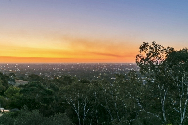 33 Patrick Auld Drive, Auldana Sold by Giordano & Partners - image 1