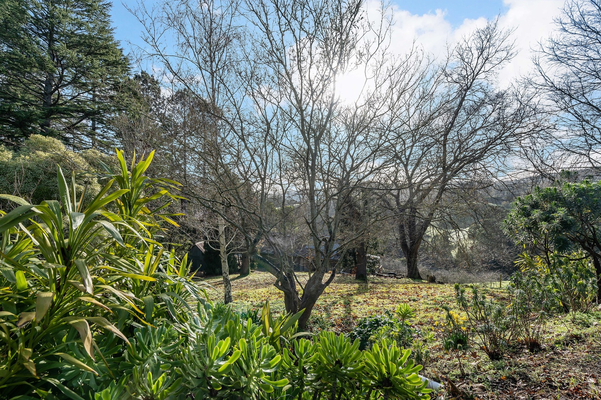 100 Burdetts Road, Basket Range Leased by Giordano & Partners - image 7