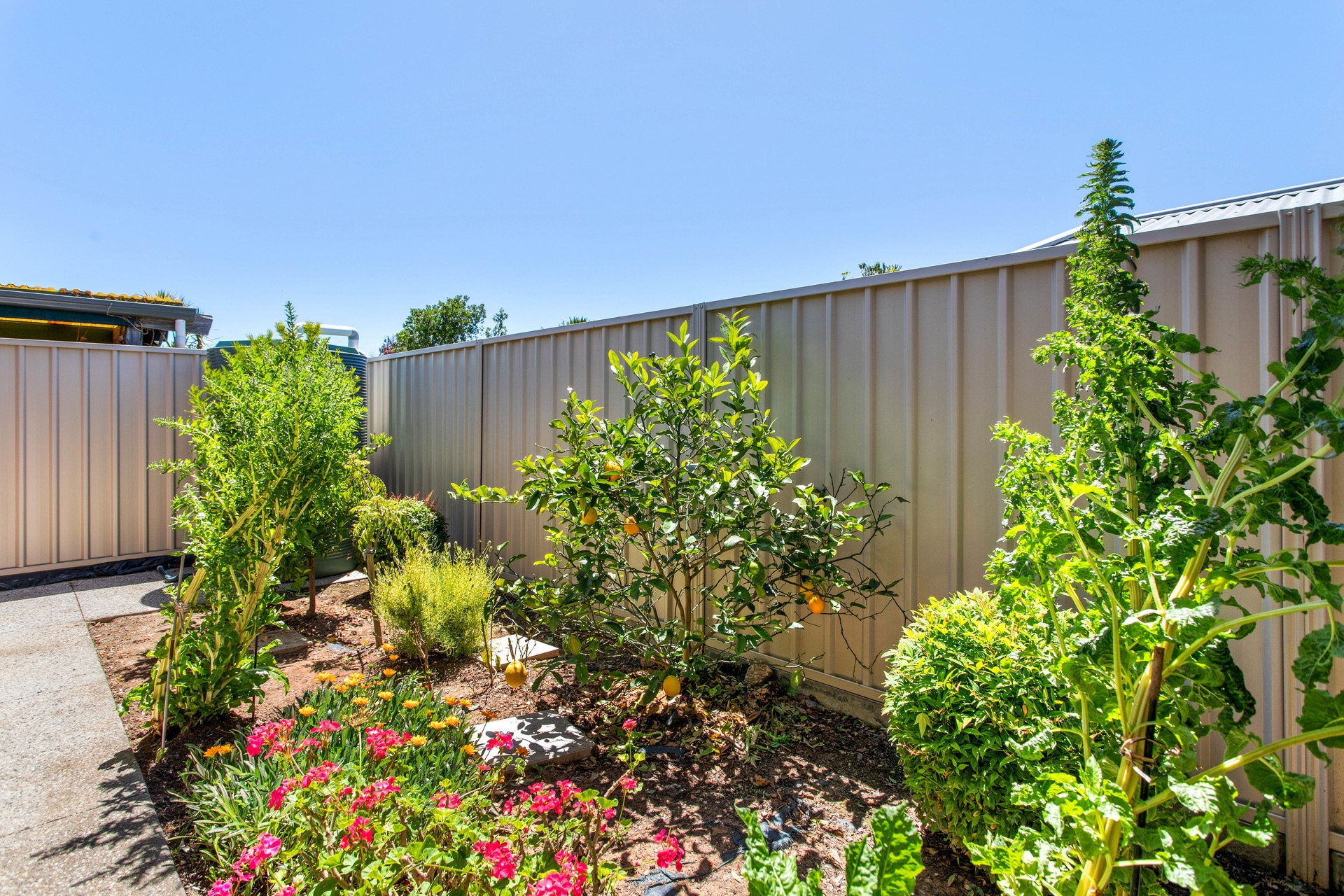 1C View Road, Glandore Leased by Giordano & Partners - image 14