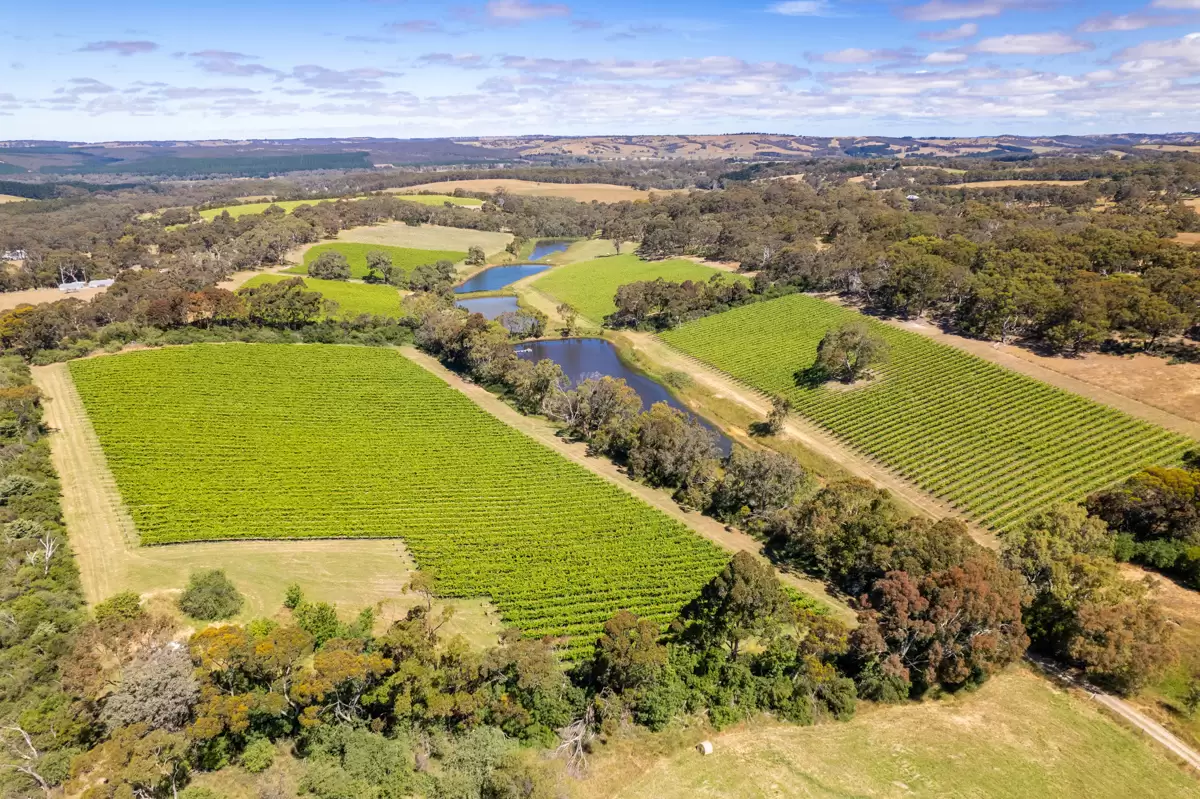 772 Range Road, The Range Sold by Giordano & Partners - image 16