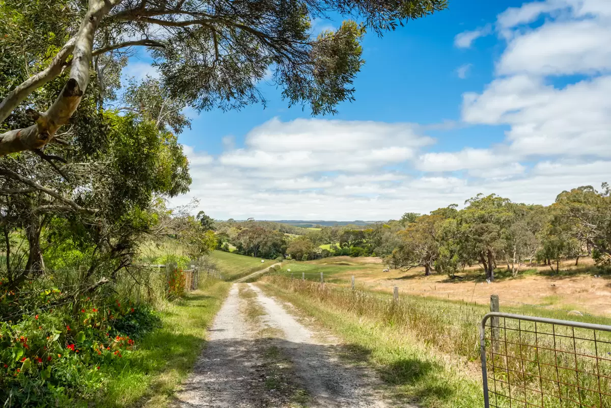 772 Range Road, The Range Sold by Giordano & Partners - image 18