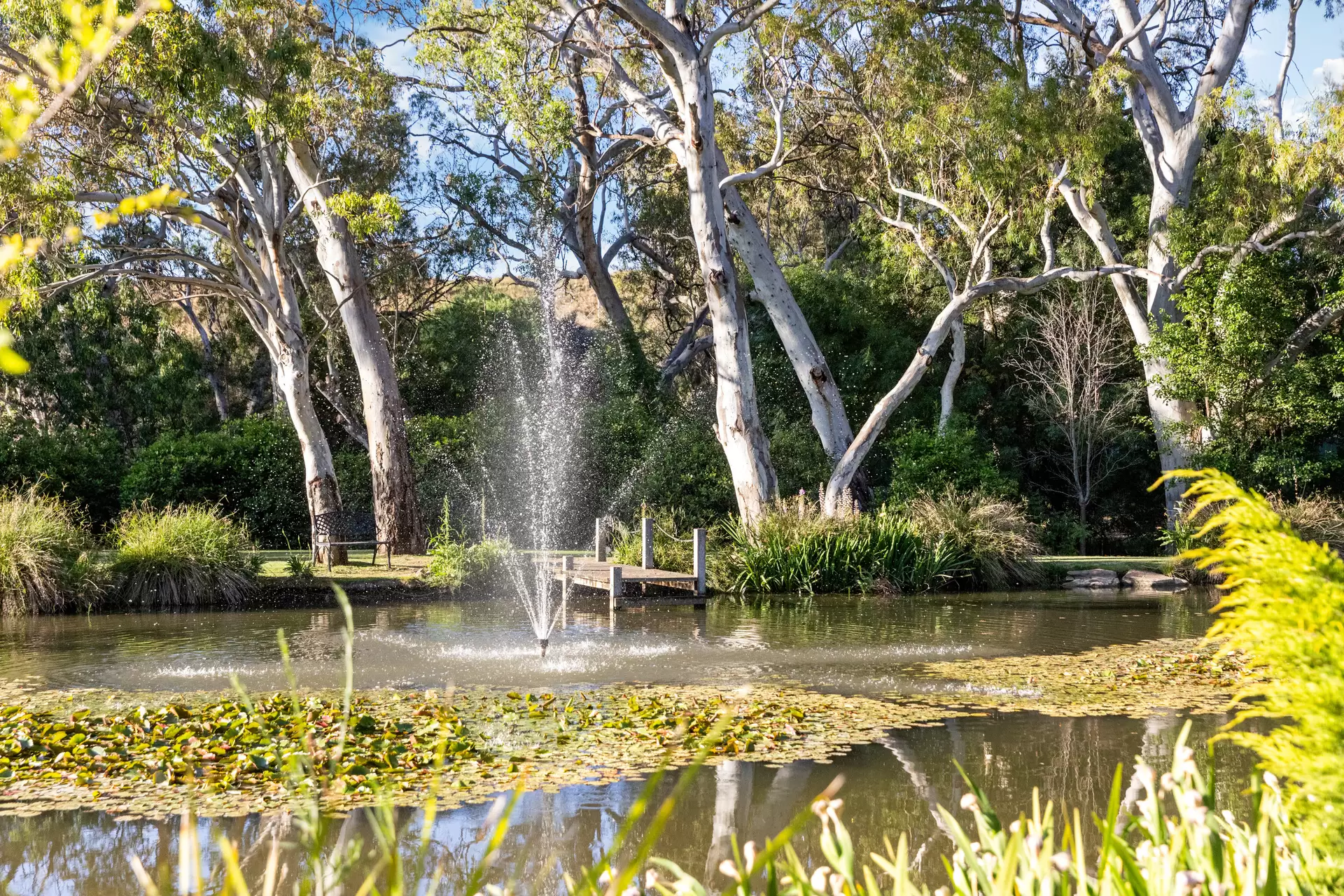 488-500 Yatala Vale Road, Yatala Vale Sold by Giordano & Partners - image 15