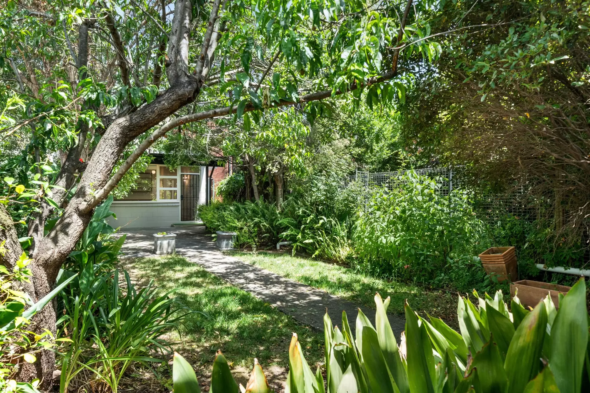 12 MacKinnon Parade, North Adelaide Leased by Giordano & Partners - image 14