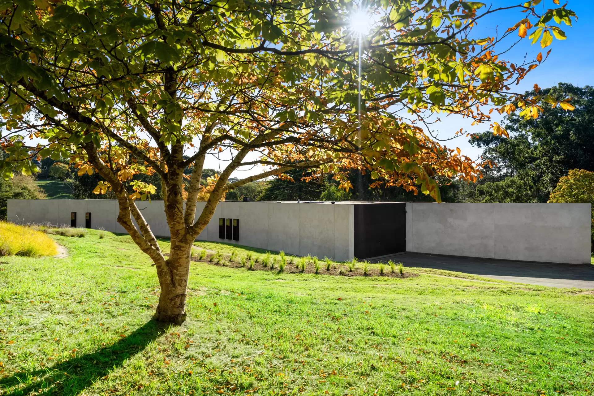 14 Williams Road, Heathfield Sold by Giordano & Partners - image 35