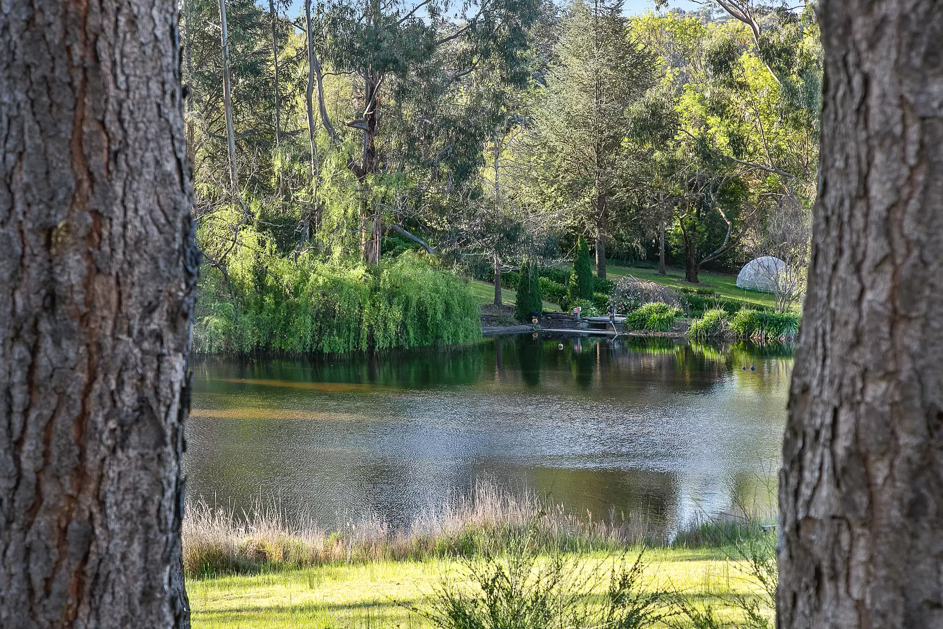14 Williams Road, Heathfield Sold by Giordano & Partners - image 33