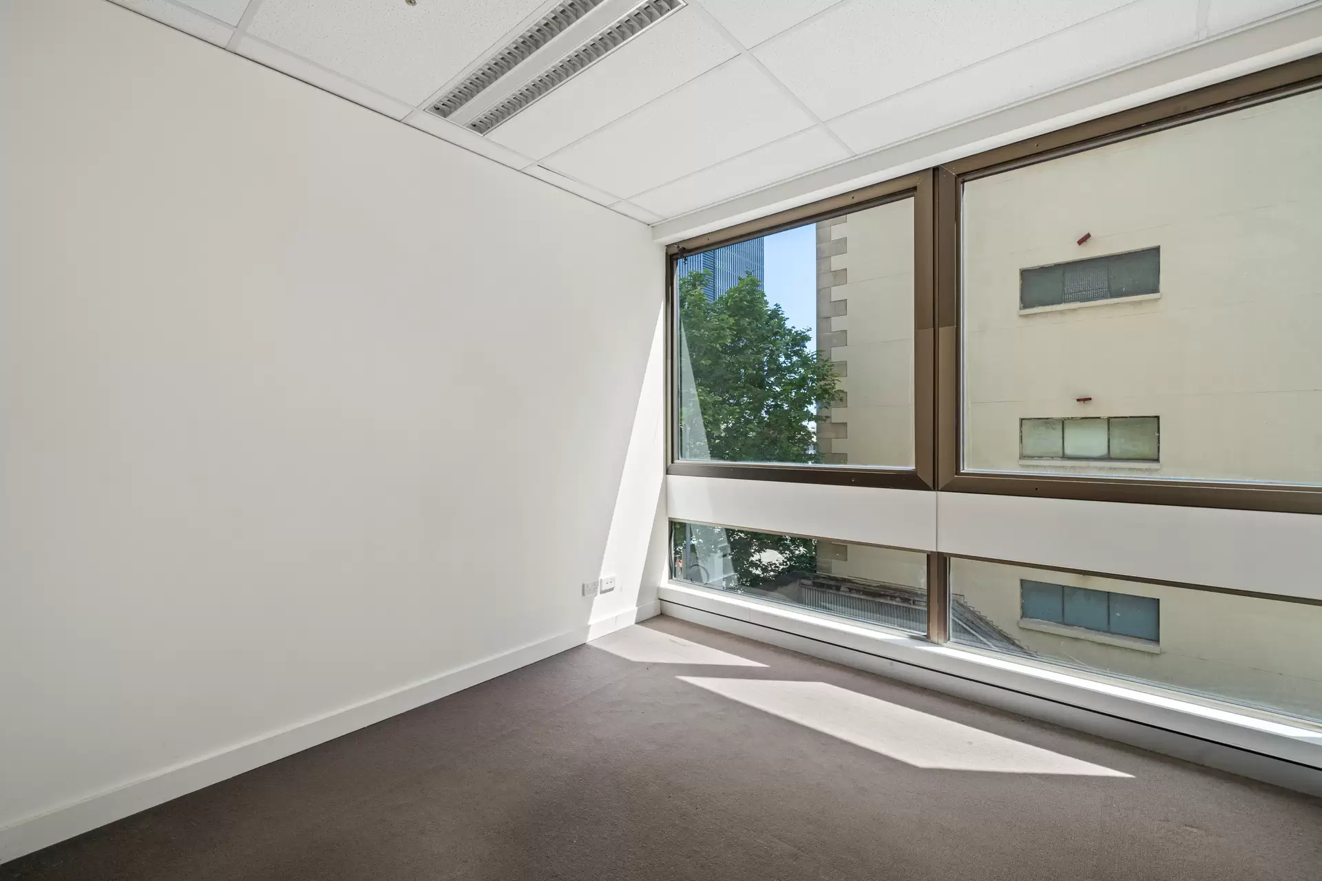 401/18-20 King William Street, Adelaide For Lease by Giordano & Partners - image 1